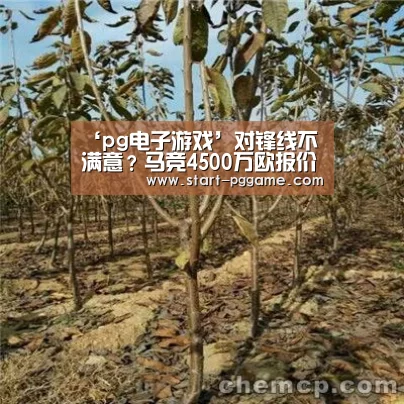 pg电子官网