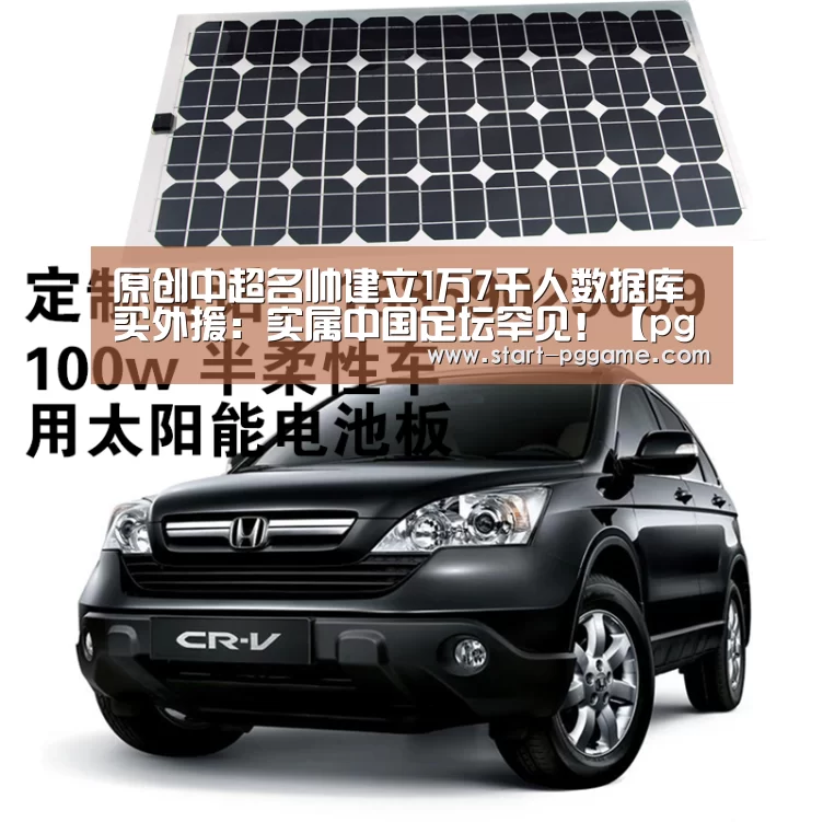 pg模拟器