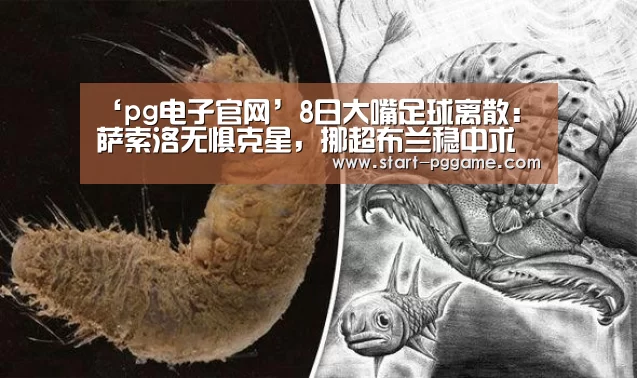 pg电子官网