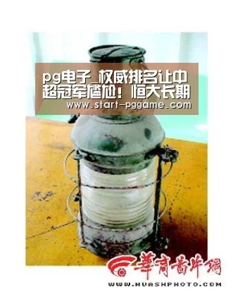 pg模拟器