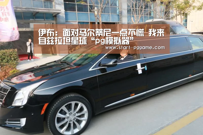 pg模拟器